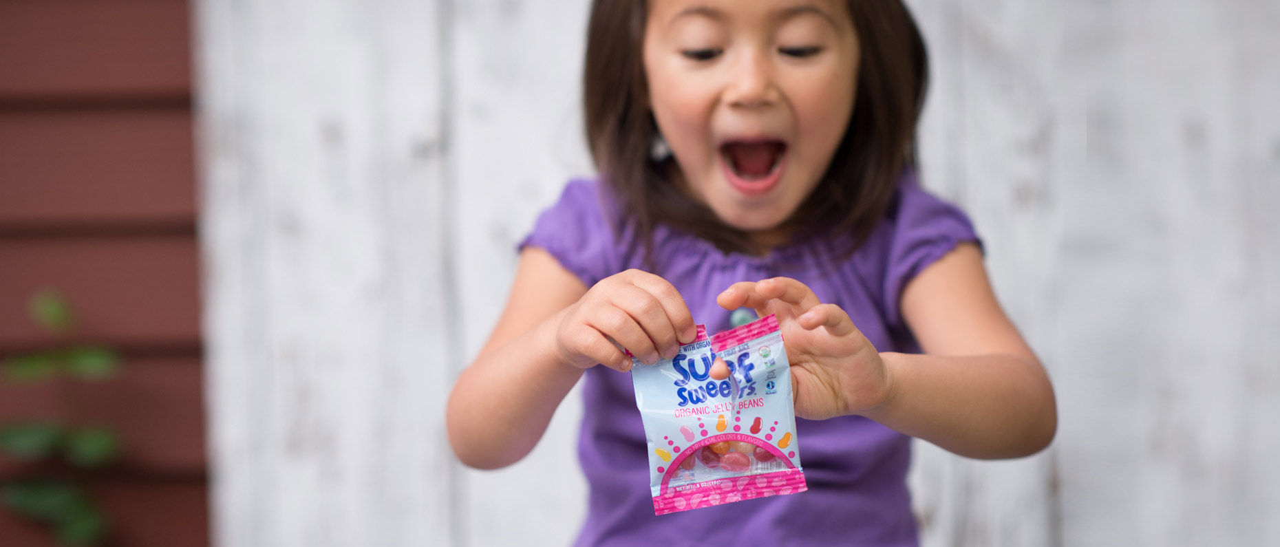 Wholesome Case Study